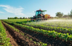 Pnrr, Regione pubblica avviso da 44 milioni per rinnovare le macchine agricole
